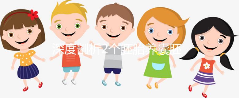 深度剖析2個胚胎養囊胚的成功率，可以養成幾個一目了然