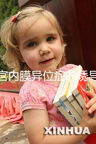 子宮內膜異位癥的誘導排卵方案，其實沒有標準答案