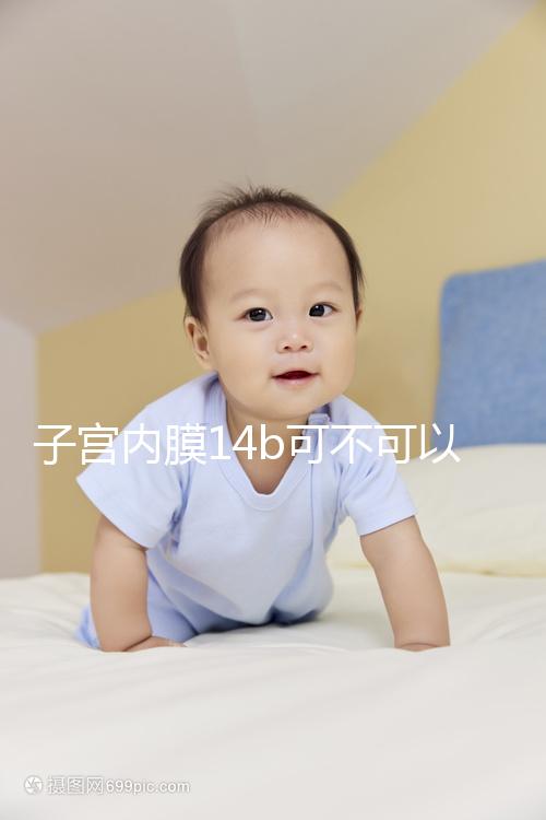 子宮內膜14b可不可以移植囊胚看情況，能否成功只看三點