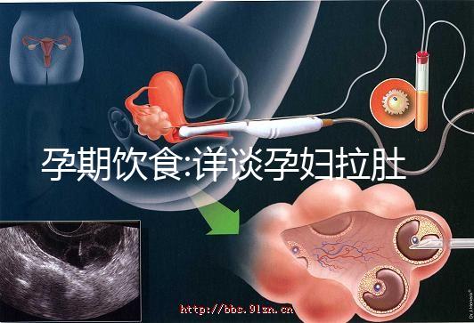 孕期飲食:詳談孕婦拉肚子能不能吃哈密瓜
