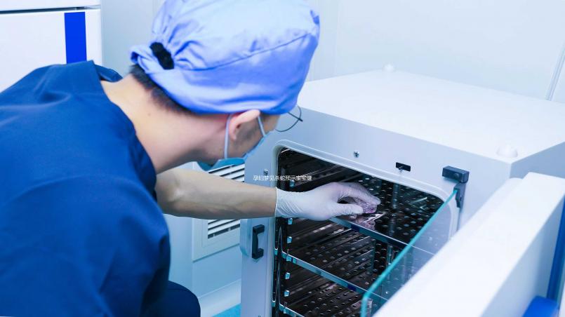 孕婦夢見殺蛇預示寶寶健康？相關胎夢解讀