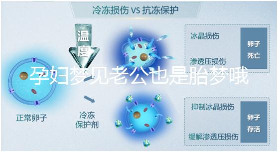 孕婦夢(mèng)見老公也是胎夢(mèng)哦!具體寓意解讀看過來