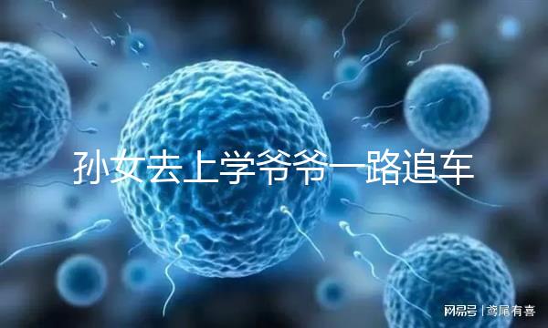 孫女去上學(xué)爺爺一路追車告別，網(wǎng)友：上了年紀(jì)淚點更低了