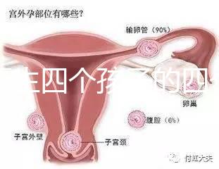 寧夏生四個孩子的四個女孩補貼多少2024年，給2萬元或非謠言