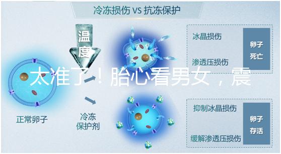 太準了！胎心看男女，震驚結果大于150就一定是女孩