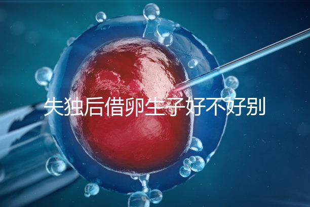 失獨(dú)后借卵生子好不好別還不造，供卵or領(lǐng)養(yǎng)過來人感受更深