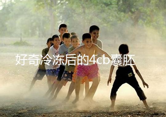 好奇冷凍后的4cb囊胚移植幾天著床看這，第七天別還不敢測(cè)