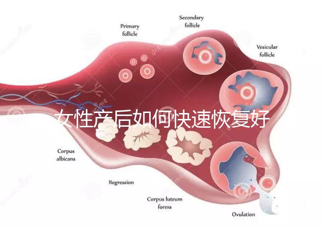 女性產后如何快速恢復好身材？