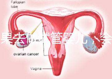 如果去做試管嬰兒，會(huì)有什么利與弊？