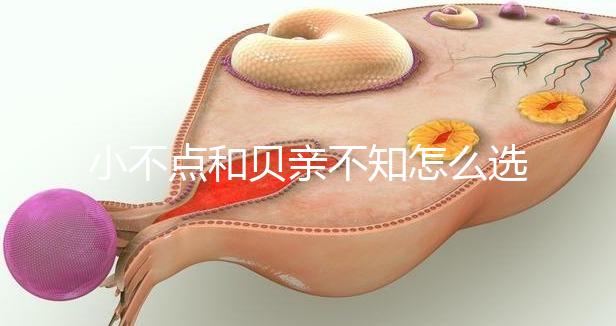小不點和貝親不知怎么選，挑選一款合適的奶瓶有技巧