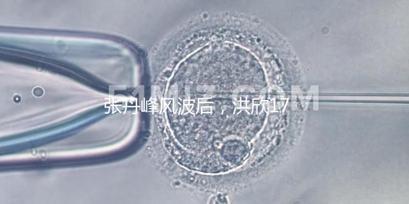 張丹峰風(fēng)波后，洪欣17歲兒子表白媽媽一家人疑似和好如初