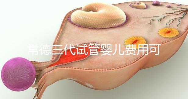 常德三代試管嬰兒費用可以報銷嗎?內(nèi)附試管費用明細(xì)