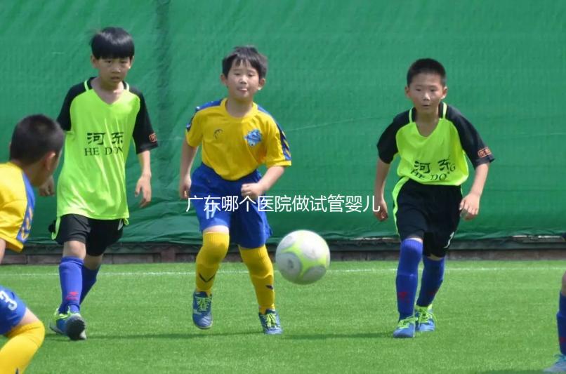 廣東哪個醫院做試管嬰兒成功率較高？