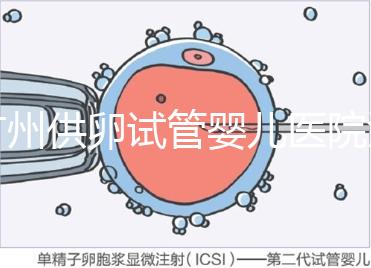 廣州供卵試管嬰兒醫(yī)院匯總，真實(shí)案例告訴你廣東哪家最好