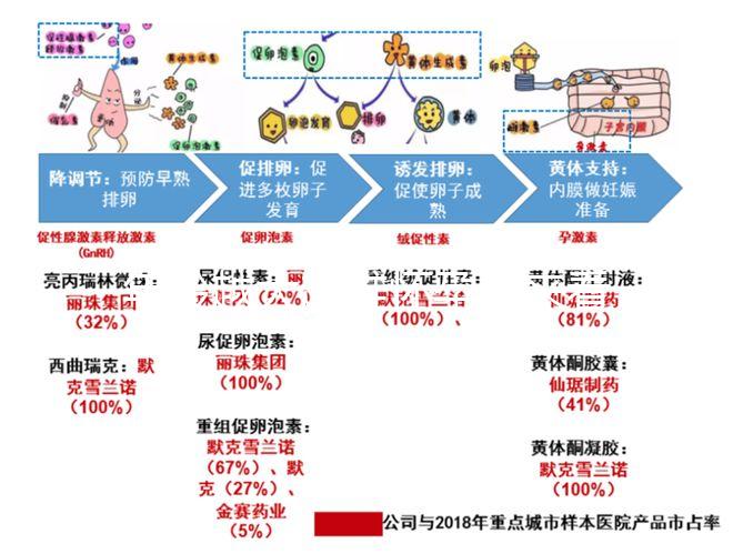 年齡越大越難懷孕！來(lái)看看44歲試管嬰兒的成功率有多少？