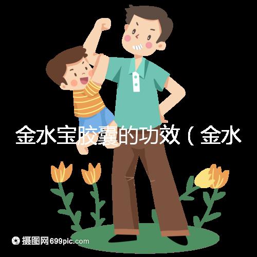 金水寶膠囊的功效（金水寶膠囊的功效與主治作用）