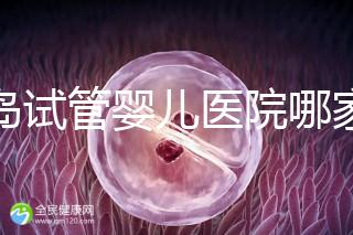 青島試管嬰兒醫(yī)院哪家比建議，成功率有多少？