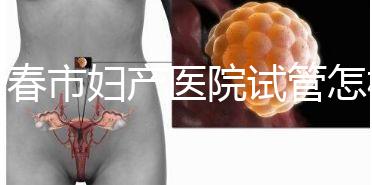 長春市婦產醫院試管怎樣問題解答，助孕成功率、費用可作參考