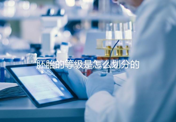 胚胎的等級是怎么劃分的？詳解3天胚胎與5天囊胚的評估標準