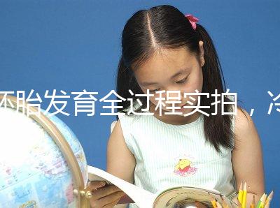 胚胎發育全過程實拍，冷凍胚胎移植后著床圖解（視頻）