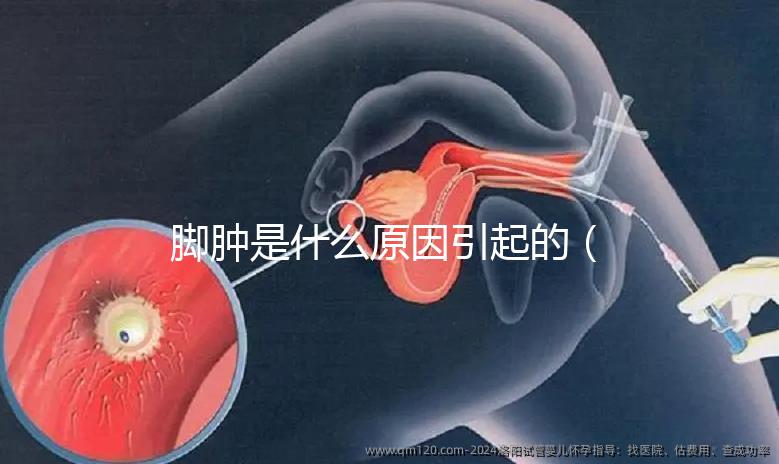 腳腫是什么原因引起的（腳腫是什么原因引起的？女性）