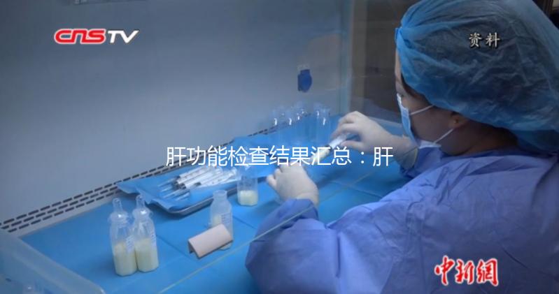 肝功能檢查結(jié)果匯總：肝損傷只是其中一項(xiàng)