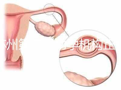 蘇州第三代助孕機構正規(guī)可靠嗎？實地考察才為真