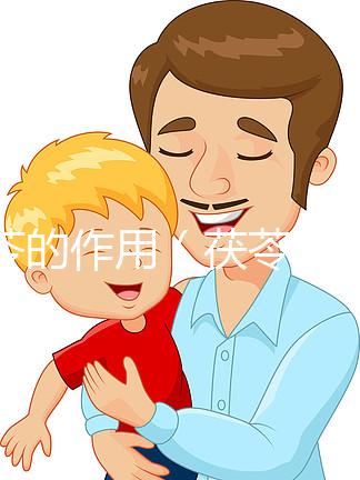 茯苓的作用(茯苓的十大功效)