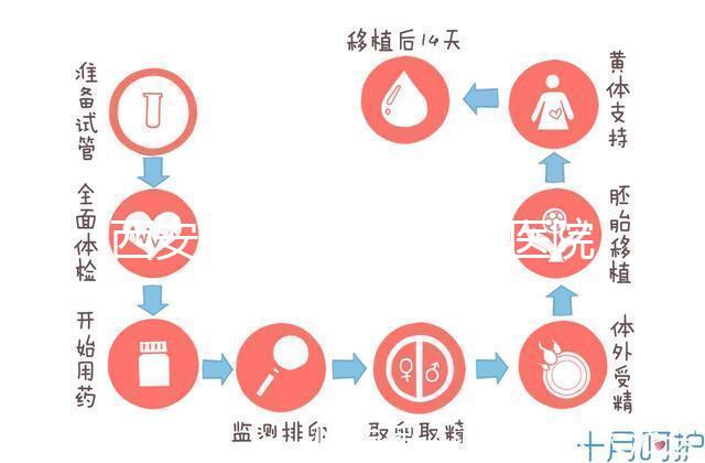 西安能做試管嬰兒的醫(yī)院哪家成功率最高？本地Top 5推薦