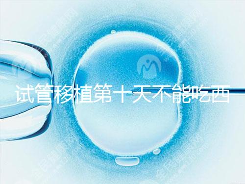 試管移植第十天不能吃西瓜！影響胚胎發(fā)育可不是玩笑話