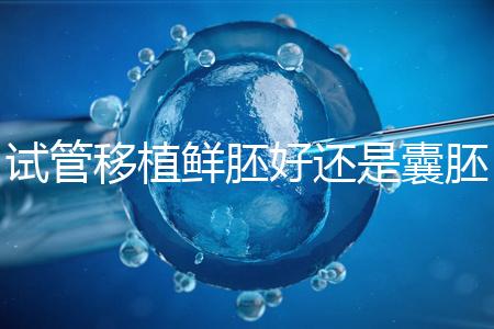 試管移植鮮胚好還是囊胚好 鮮胚和囊胚哪個(gè)成功率高