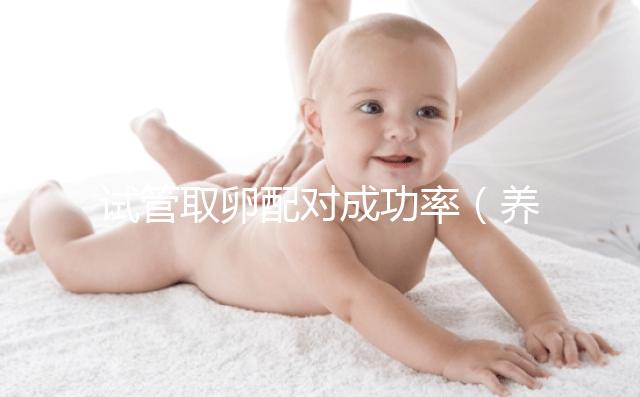 試管取卵配對(duì)成功率(養(yǎng)囊胚和凍胚哪個(gè)成功率高)