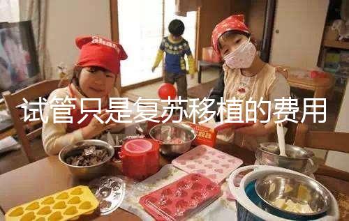 試管只是復(fù)蘇移植的費(fèi)用并不高，看這就知道大概多少錢