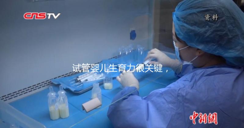 試管嬰兒生育力很關鍵，4個方面評估好不好？