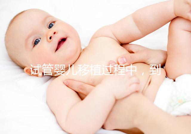 試管嬰兒移植過程中，到底是囊胚好還是鮮胚好？