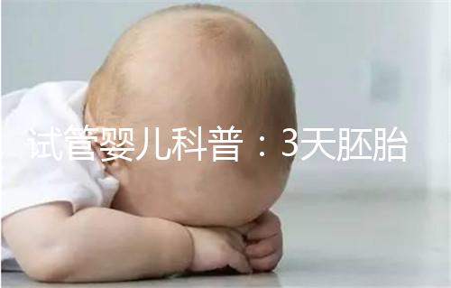 試管嬰兒科普：3天胚胎和5天囊胚，哪個移植成功率更高