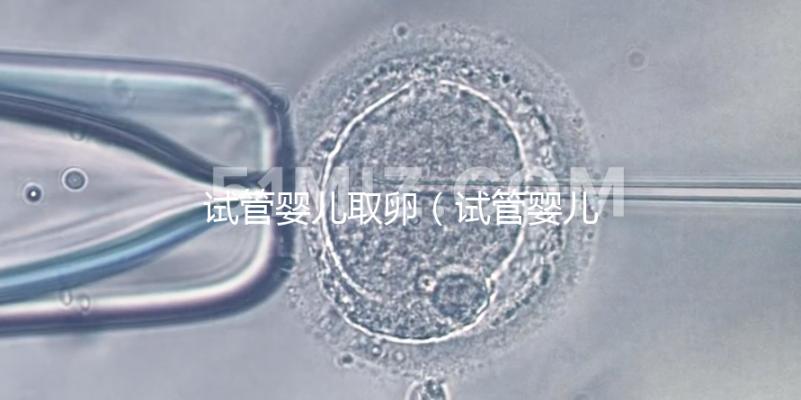 試管嬰兒取卵(試管嬰兒取卵時(shí)疼嗎)
