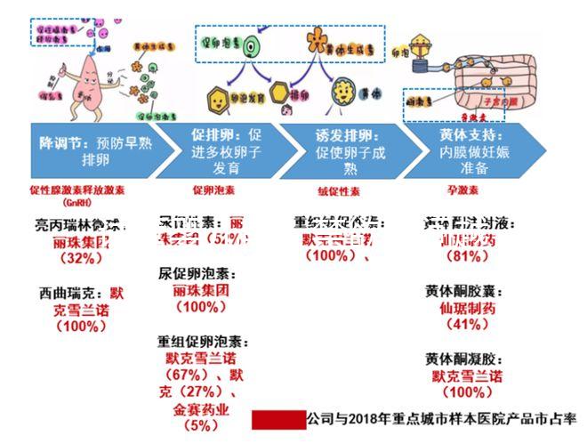 試管嬰兒前，禁欲時間越長，精子質量越好嗎？