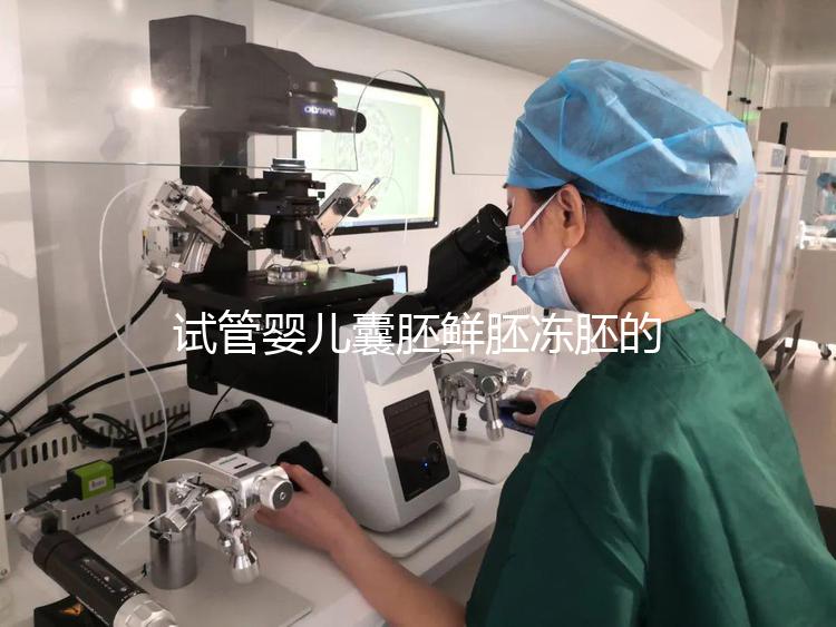 試管嬰兒囊胚鮮胚凍胚的區(qū)別是什么？鮮胚移植VS凍胚移植，哪個(gè)成功率高？