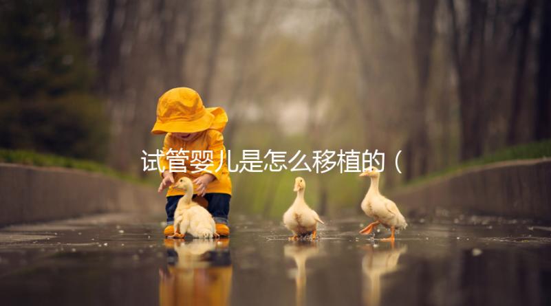 試管嬰兒是怎么移植的(試管嬰兒是怎么移植的?)