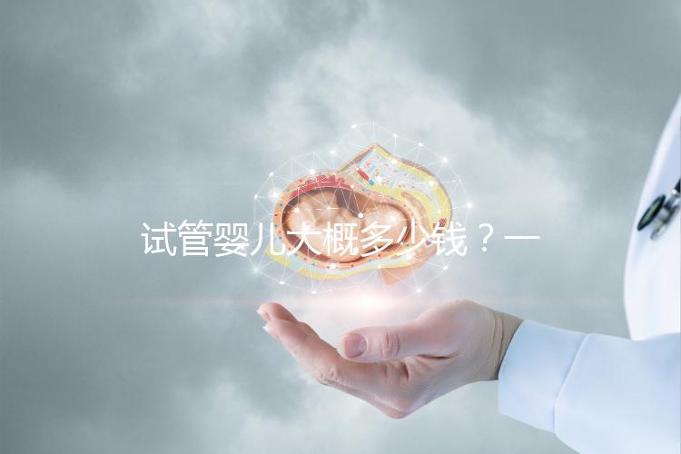試管嬰兒大概多少錢？一位助孕顧問的真心話