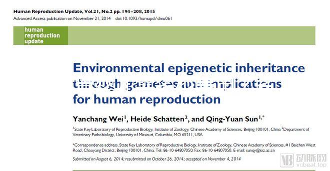試管嬰兒需多少費用？省錢攻略建議收藏！