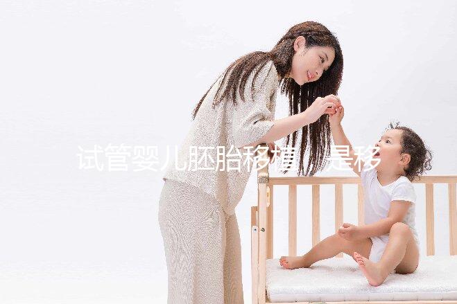 試管嬰兒胚胎移植，是移植第3天胚胎好還是囊胚好？