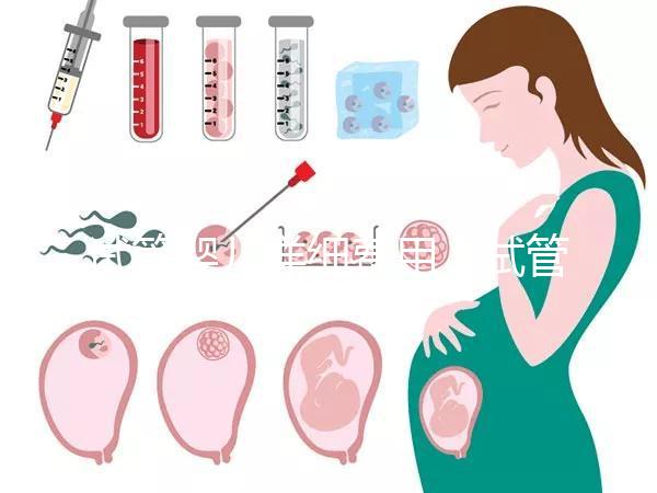 試管嬰兒詳細(xì)費(fèi)用（試管嬰兒詳細(xì)費(fèi)用多少）