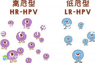 試管嬰兒詳細(xì)過程(試管嬰兒詳細(xì)過程小說)