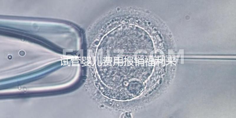 試管嬰兒費用報銷福利來了，北京納入醫保新政策已落地
