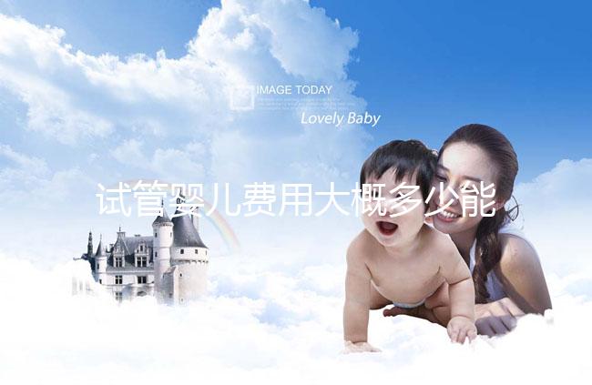 試管嬰兒費用大概多少能報銷醫(yī)保(試管嬰兒費用大概多少能報銷醫(yī)保啊)