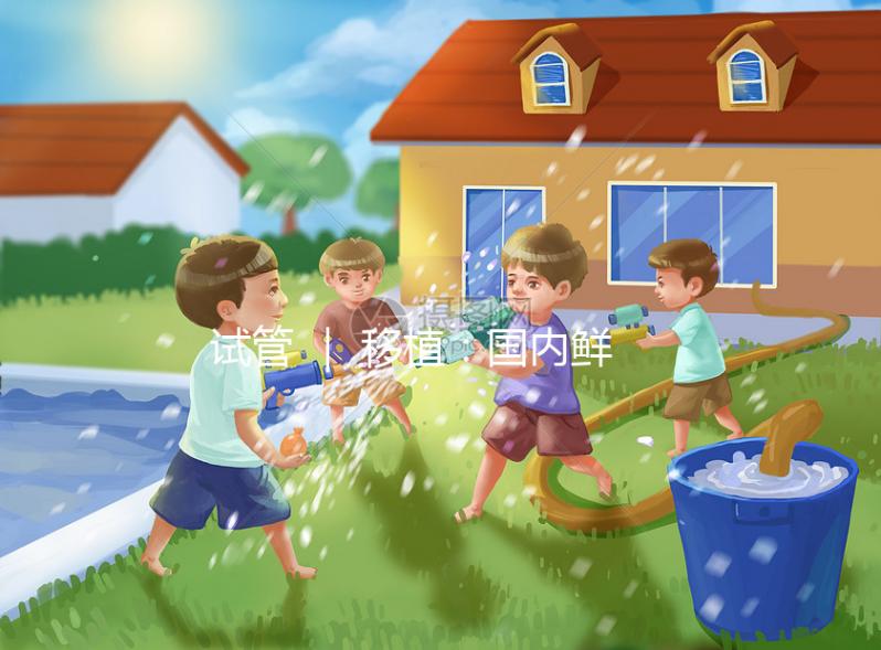 試管 ｜ 移植：國內鮮胚和國外囊胚的區別