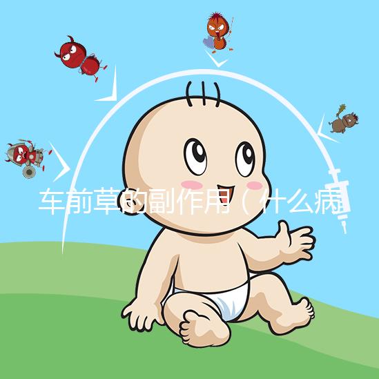 車(chē)前草的副作用（什么病最怕車(chē)前草）