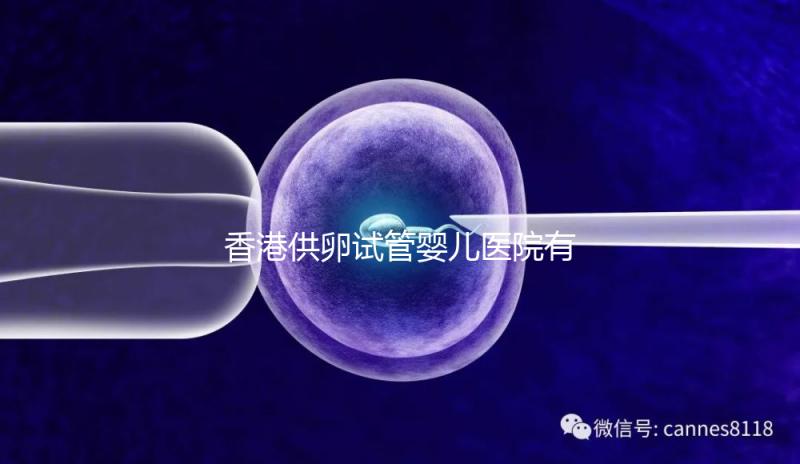 香港供卵試管嬰兒醫院有哪些點？附2024私立機構排名